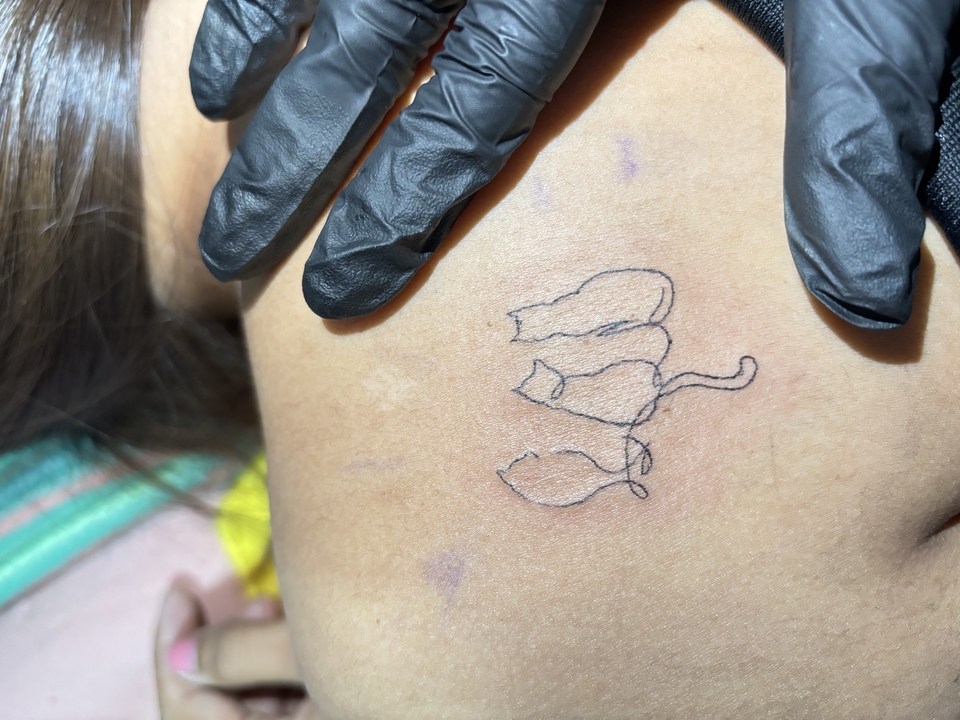 ออกแบบลายสัก ออกแบบลายสักมินิมอล รูปแบบรอยสักแมว 3 ตัว