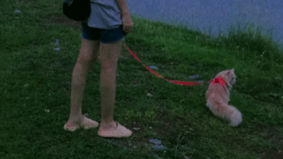 รักสัตว์