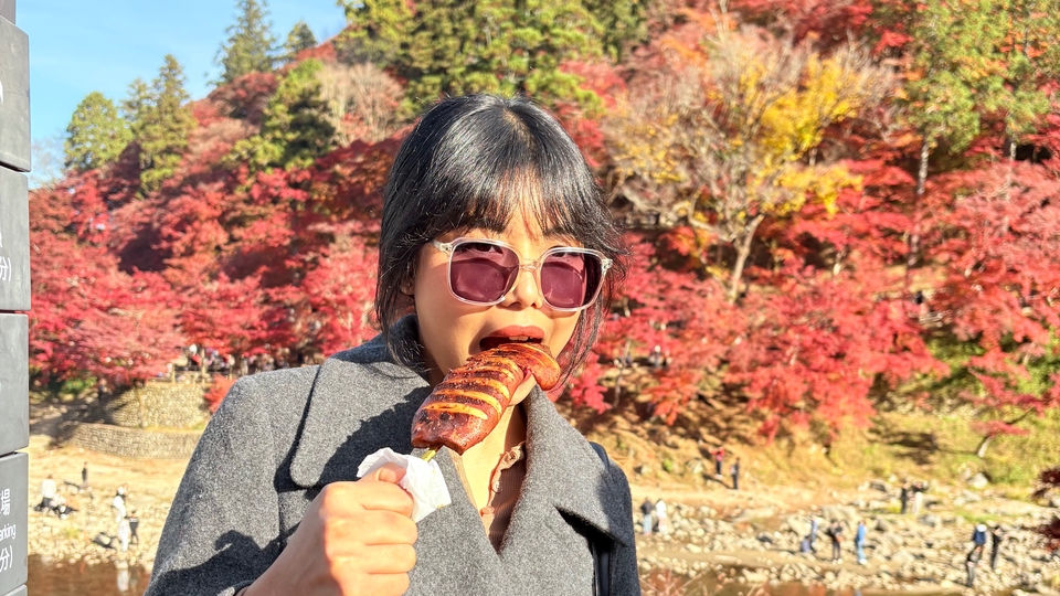 เพื่อนเที่ยวที่ญี่ปุ่น พาขึ้นรถไฟซื้อของ กินข้าว เดินเล่น ถือกล้อง หรือจะนั่งคุยสบายๆ