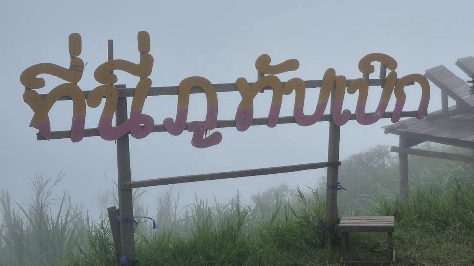 ชวนกันขึ้นเขาไปถ่ายรูปหมอกและสัมผัสธรรมชาติด้วยกัน