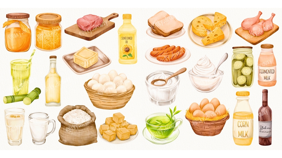 วาดภาพประกอบอาหารหลากหลายชนิด  ภาพประกอบสินค้า