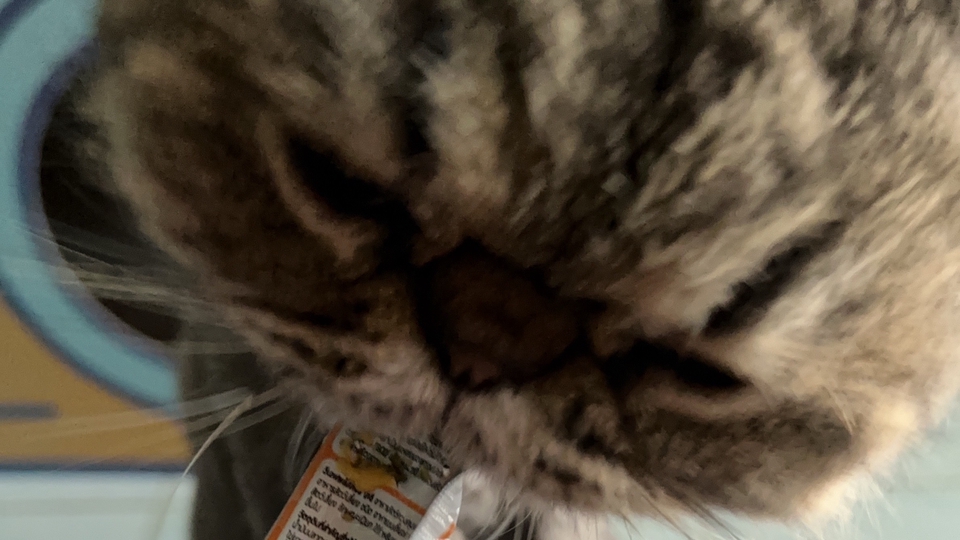 รับให้อาหารน้องๆที่น่ารัก