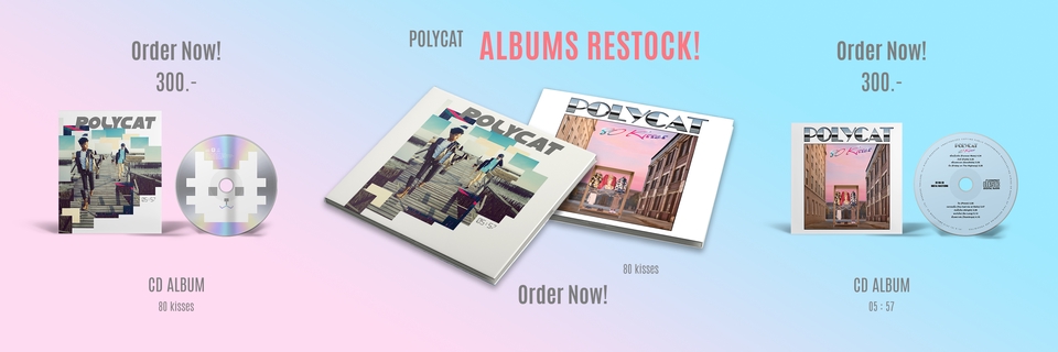 ออกแบบแบนเนอร์เว็บไซต์ POLYCAT สินค้ามาใหม่ สั่งซื้อเลย