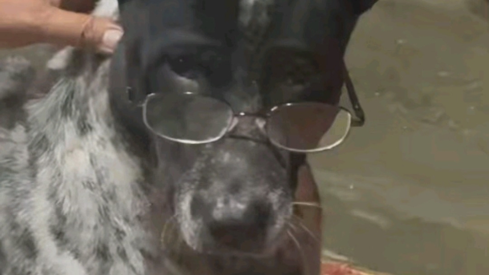 กันว่าง