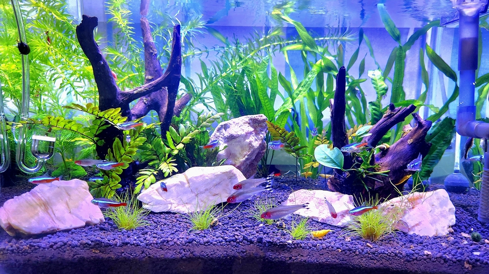 หาเพื่อนทำกิจกรรม กิน เที่ยว - เพื่อนคุย เพื่อนกิน เพื่อนเที่ยว ทำกิจกรรมต่างๆ - 3