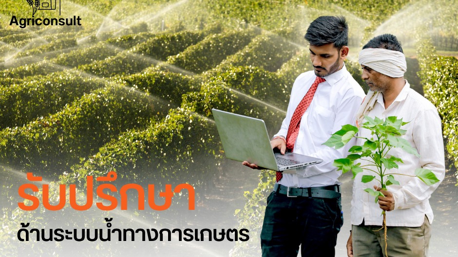 ที่ปรึกษาทางด้านระบบน้ำเพื่อการเกษตร