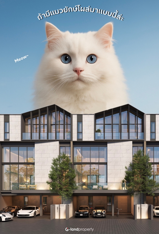 รับแต่งรูปภาพแมวและบ้านหรูด้วยPhotoshop