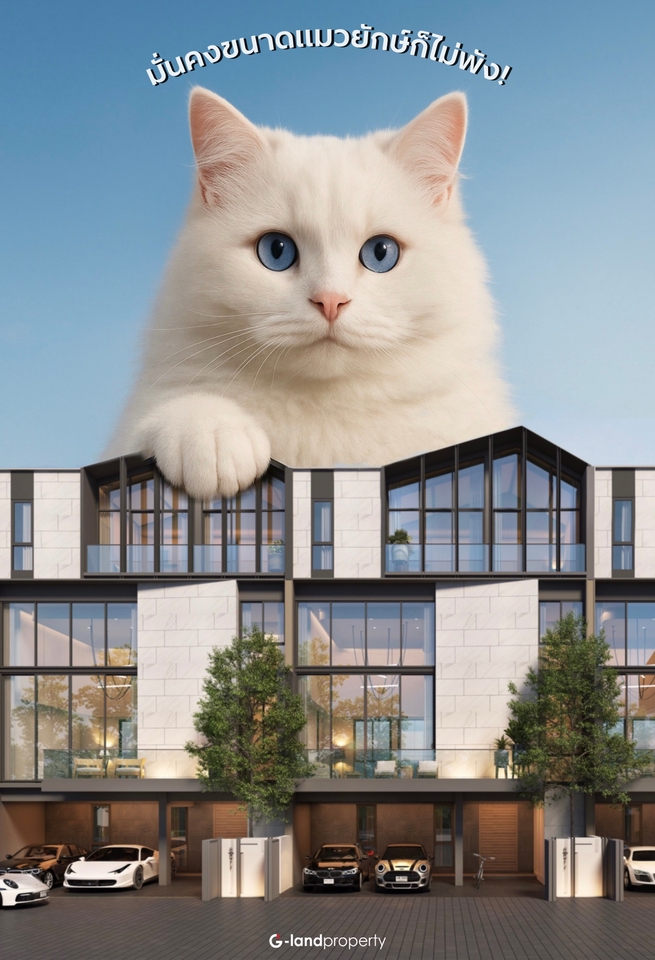 รับแต่งรูปภาพแมวและบ้านสวยด้วยPhotoshop