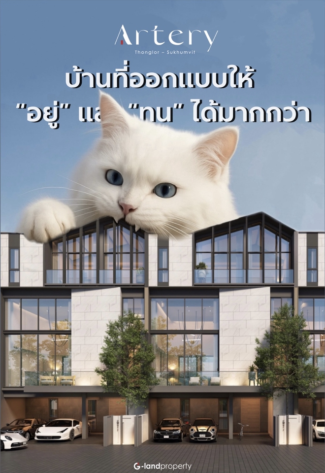 รับแต่งรูปภาพบ้านหรูและแมวขาวสวยด้วยphotoshop