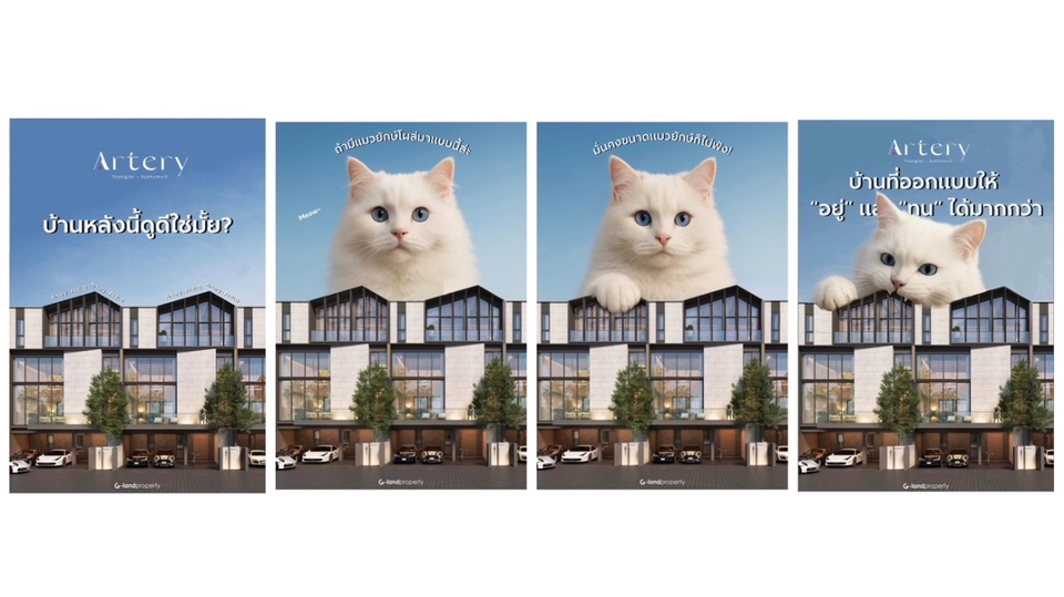 ภาพ Infographic น่ารักๆแมวยักษ์ที่ช่วยแสดงถึงความคงทนของบ้าน