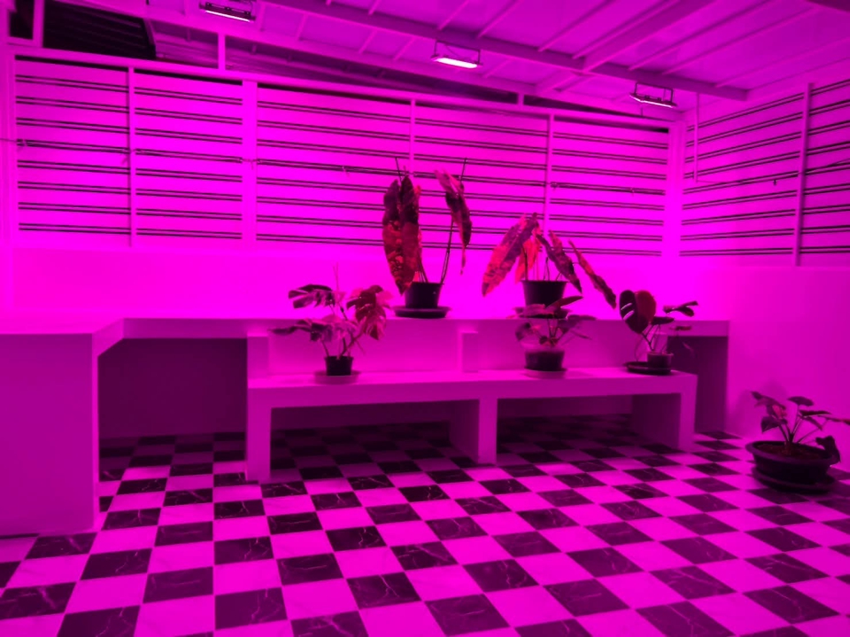 รับเหมาก่อสร้าง - ช่างต่อเติม และ รีโนเวท ทาสี ไฟฟ้า ปะปา ซ่อมแซมอื่นๆ ครบวงจรเล็กใหญ่ทำหมด - 11