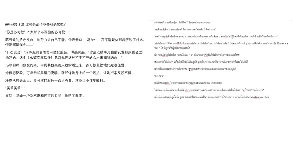 ตัวอย่างงานแปลจีน-ไทย