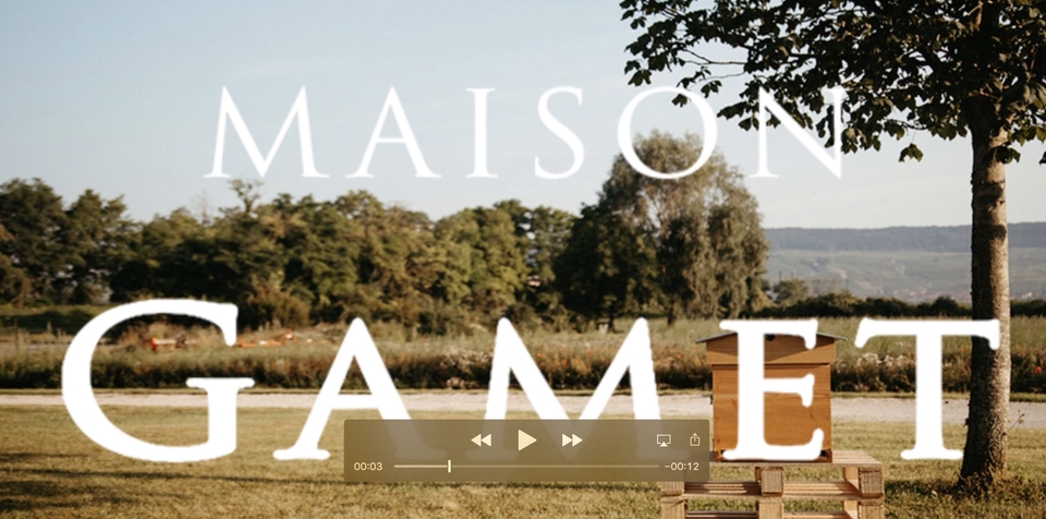 รับทำอินโฟกราฟฟิคสวยงาม ราคาถูก