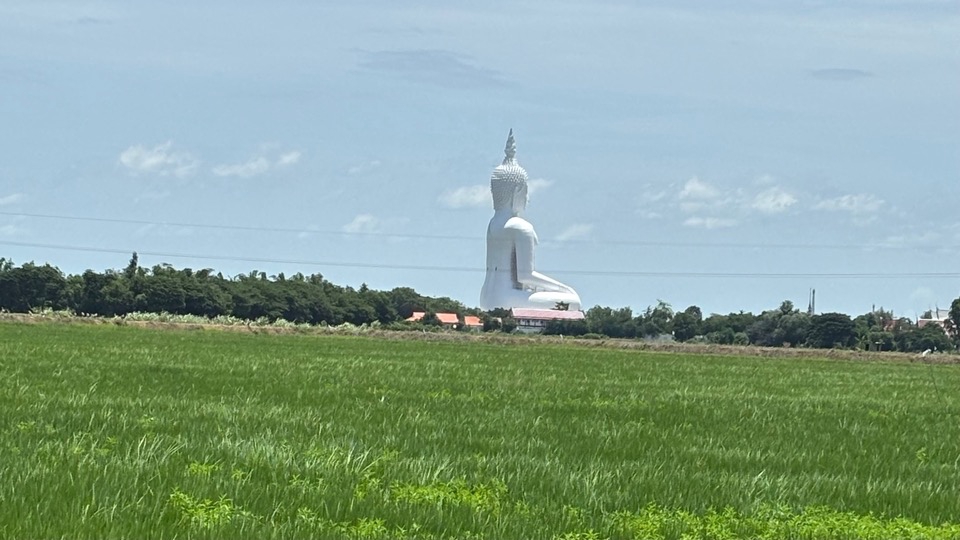ไหว้พระ ทำบุญ ใน 1 วัน one day trip เที่ยวอ่างทอง วัดม่วง ทุ่งนาข้าว 