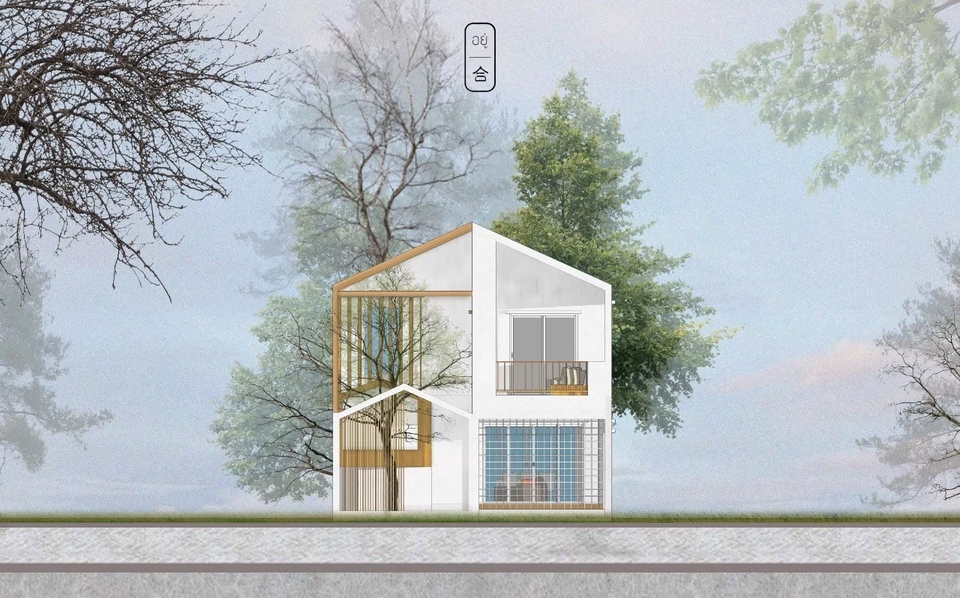 รูปด้าน