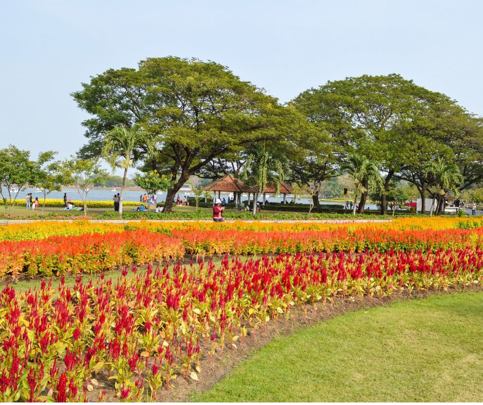 อื่นๆ - รับปรึกษาด้านการเกษตร ทำฟาร์ม ทำสวน หรือทำไร่ ตั้งแต่สถานที่ปลูก วางแผนผลิต จนกระทั่งการเก็บเกี่ยว - 2