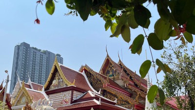 ถวายสังฆทาน เติมน้ำมันตะเกียง ปล่อยนก ปล่อยปลา วันเสาร์ อาทิตย์