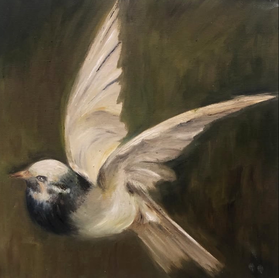 วาดภาพเหมือนนกบิน สีน้ำมัน ภาพประกอบ