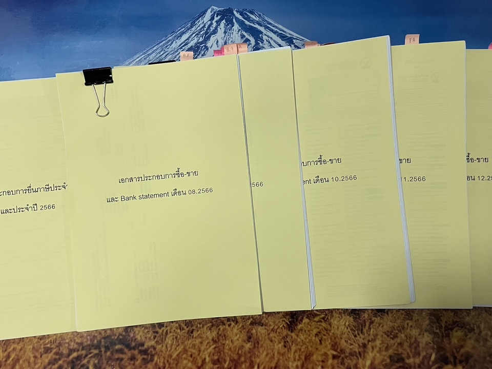 รับทำบัญชีรายเดือน บริการทำบัญชีเอกสารทางการเงิน