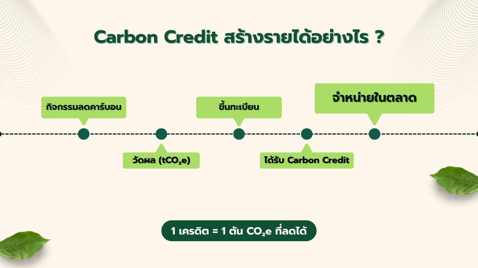 ขั้นตอนการสร้าง Carbon Credit จากโครงการลดการปล่อยก๊าซเรือนกระจก