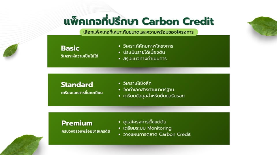 ตัวอย่างแพ็คเกจบริการที่ปรึกษา Carbon Credit ตั้งแต่วิเคราะห์โครงการถึงแผนพัฒนา