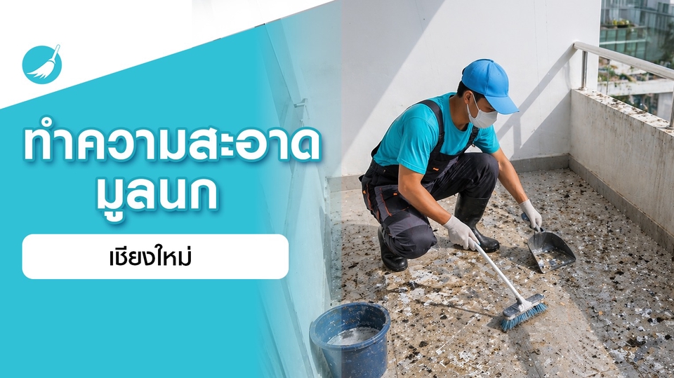 ทำความสะอาดมูลนก เชียงใหม่