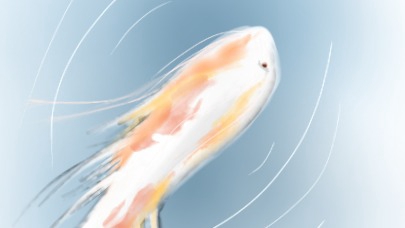 เป็นภาพพื้นหลังปลาว่ายน้ำ