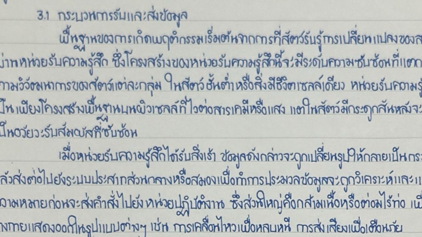 ตัวอย่างส่วนหนึ่งที่เขียนรายงาน