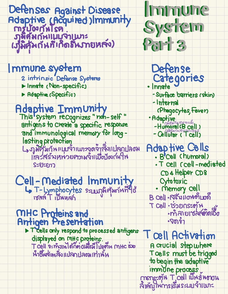 เขียนนิยาย / เรื่องสั้น - เขียนงานด้วยลายมือ ทำสรุปเนื้อหา คัดลอกงานตามต้นฉบับ - 7