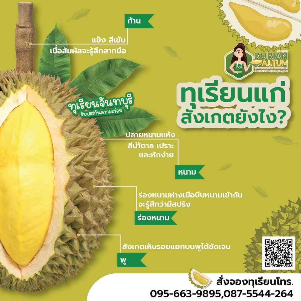 Banner โฆษณา - แบนเนอร์สินค้าทุกประเภท ใช้งานออนไลน์ - 12