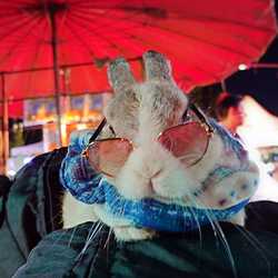 คูมพ่อเสินเจิ้นจิ๋ว