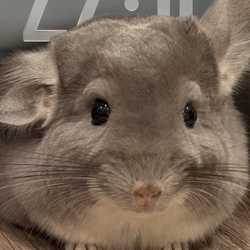 Sir Sebastian