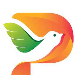 P House and Building Design