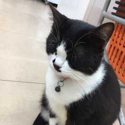 คุณไอติม