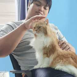 เพชร กษิดิศ