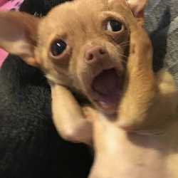 โปรโมทนิย๊ายยยย