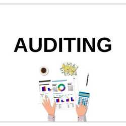 CT Auditing
