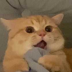 ภิญญดา เภาไชย