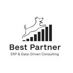 Best Partner ERP Data Driven