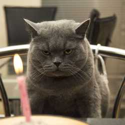 ลูกรักจักรวาล แม่สรวย เชียงราย