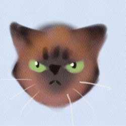 หมีขี้เมา