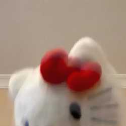 www16