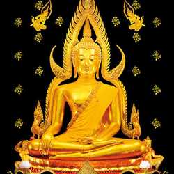 Worship Representatives