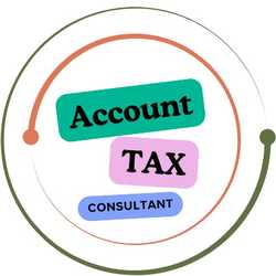 Accounting Consultant