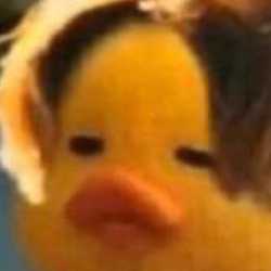 กมลลักษณ์