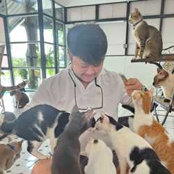 Northern design studio