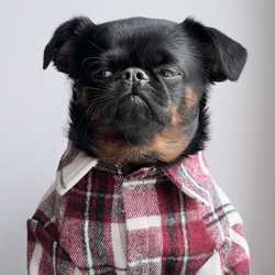 Jedsadapak Chucherdkheatsakul