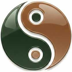 ฮวงจุ้ยโลโก้