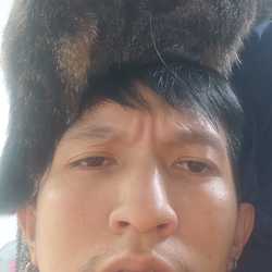 บริการเสริฟข้าวแมวจร