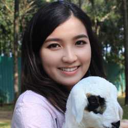 น้ำหวาน